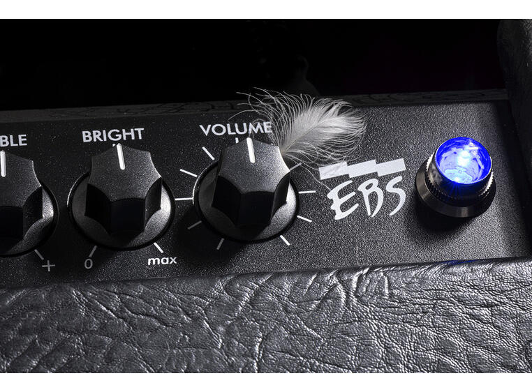 EBS Magni 502 115 basscombo