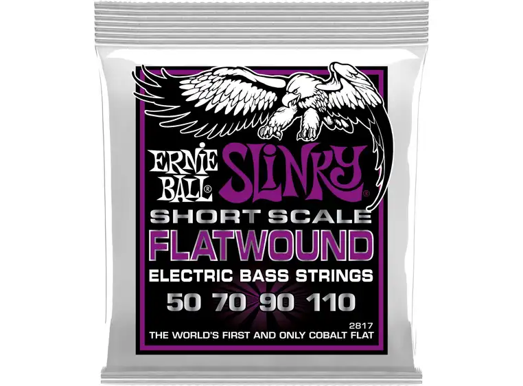 Ernie Ball 2817 Flatwound (050-110) Shortscale 