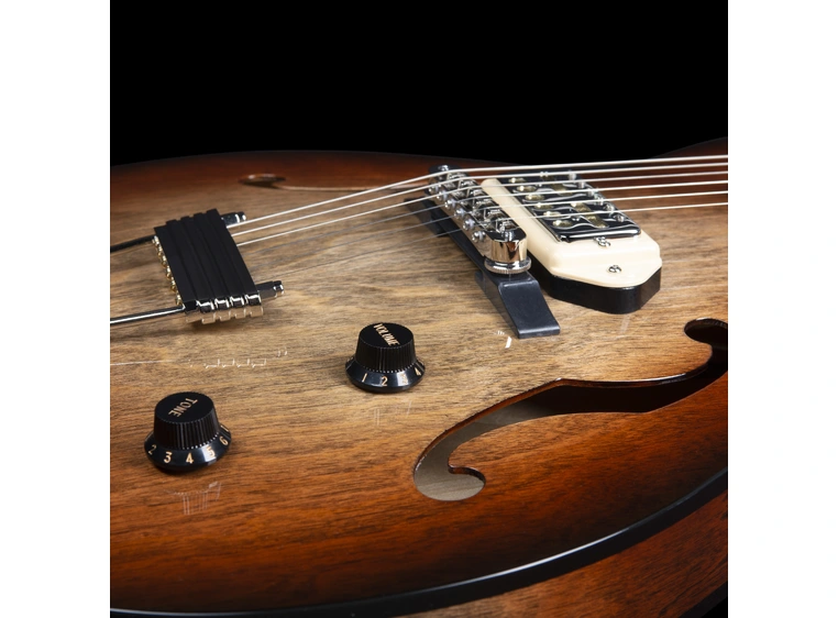 Godin 5th Ave TL Vintage Burst HG Gold Foil Dogear 