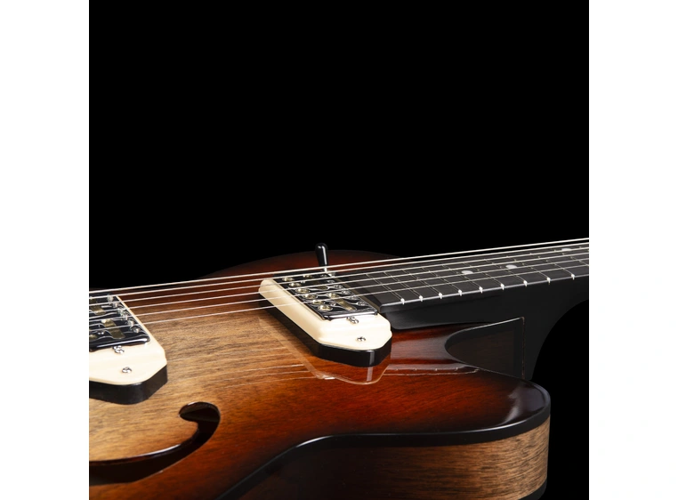 Godin 5th Ave TL Vintage Burst HG Gold Foil Dogear 