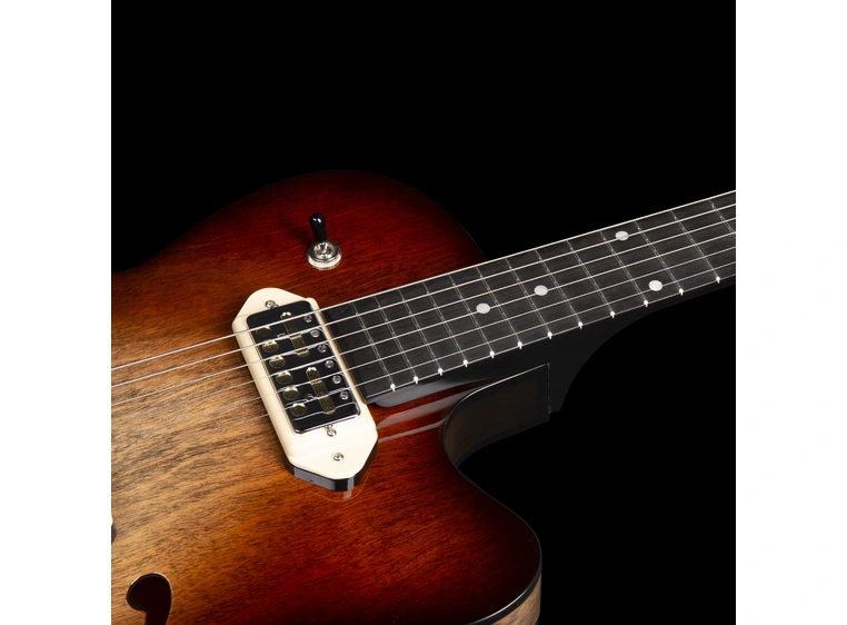 Godin 5th Ave TL Vintage Burst HG Gold Foil Dogear 