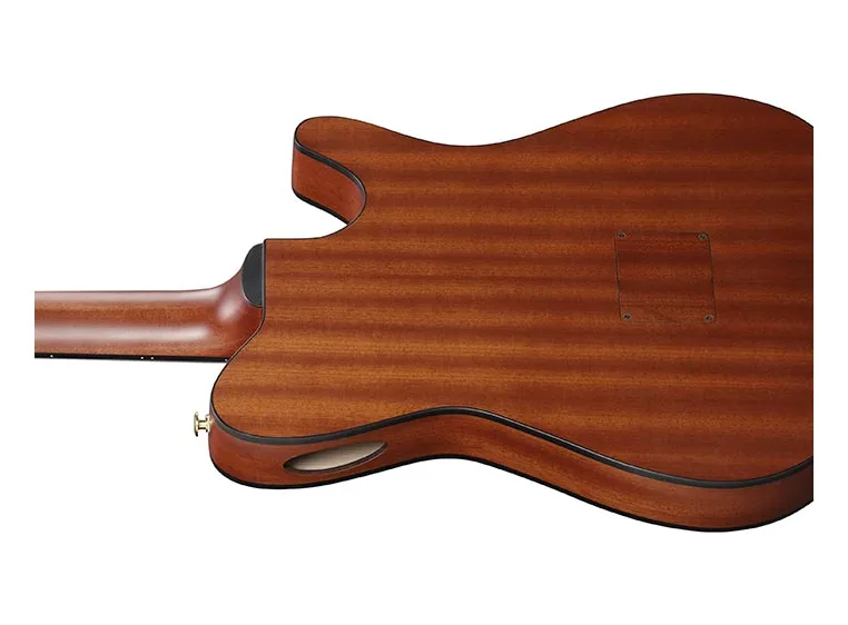 Ibanez FRH10NL-BSF Nylongitar m/mik Lefthand FRH Classic 