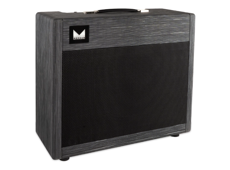 Morgan Amps DUAL 20 Gitarcombo 