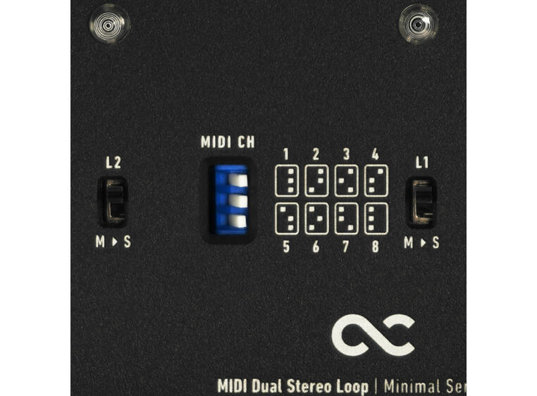 One Control Minimal MIDI DS Loop True Bypass Looper