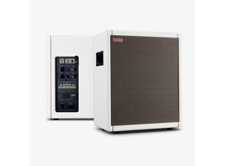 Positive Grid Spark Cab Pearl 