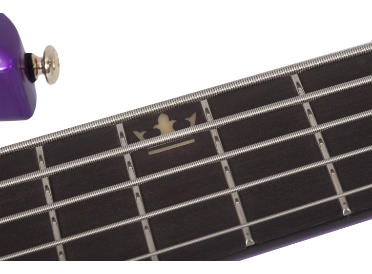 Schecter Freezesicle-5 PUR 