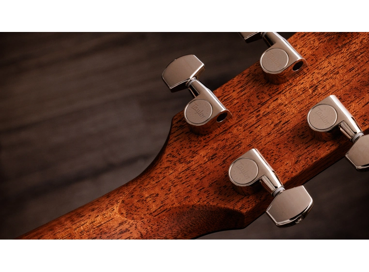 Taylor Gold Label 714e SB Firestripe  PG 