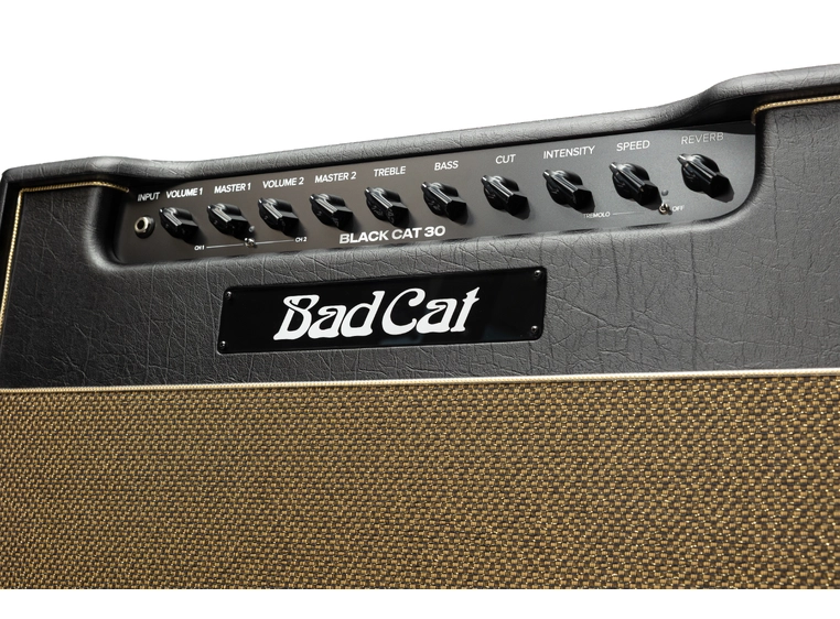 Bad Cat Mod Shop Black Cat 30 Combo 