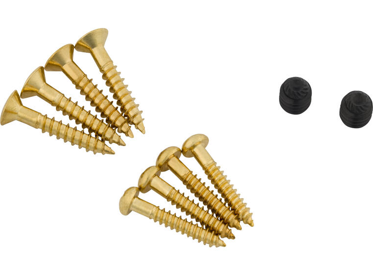 Bigsby Screw Pack, Gold