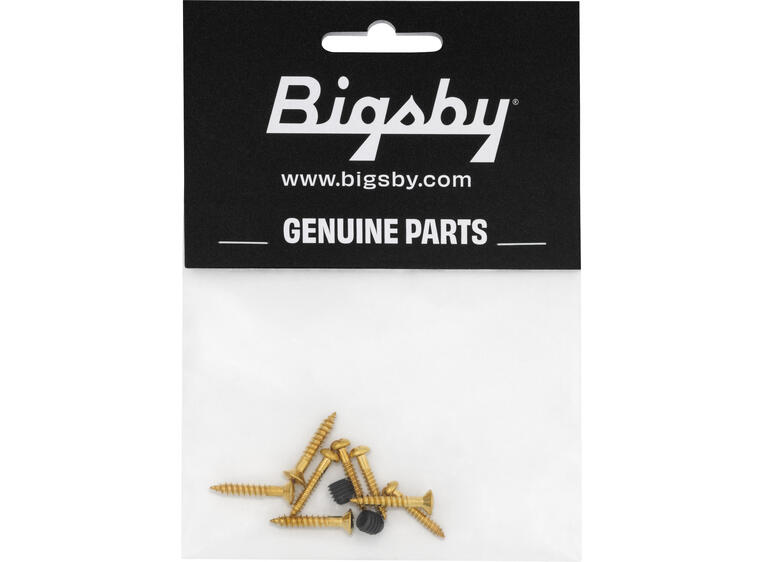 Bigsby Screw Pack, Gold