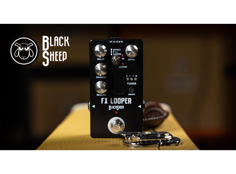 Black Sheep FX Looper