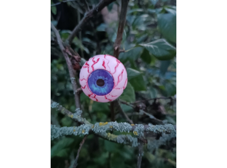 Europalms Eyeballs, 5cm Ø 4-pakning 