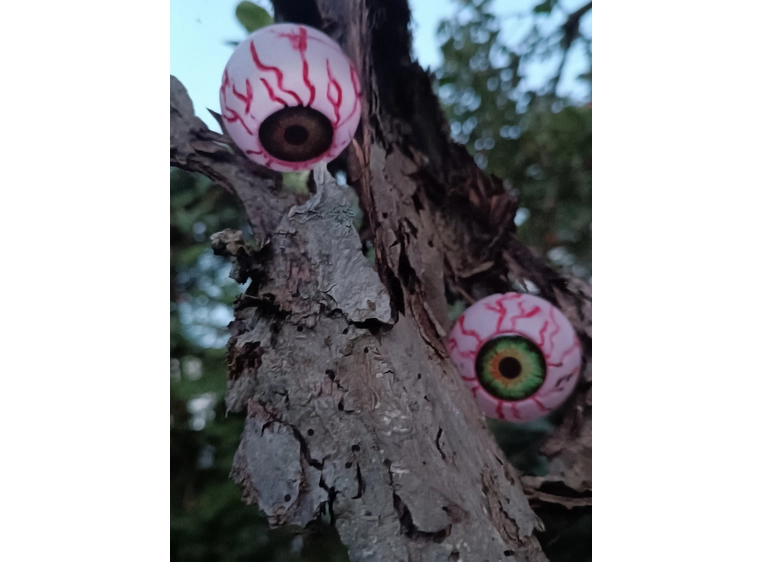 Europalms Eyeballs, 5cm Ø 4-pakning 