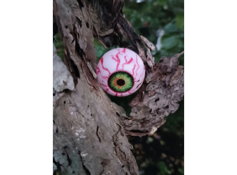 Europalms Eyeballs, 5cm Ø 4-pakning 