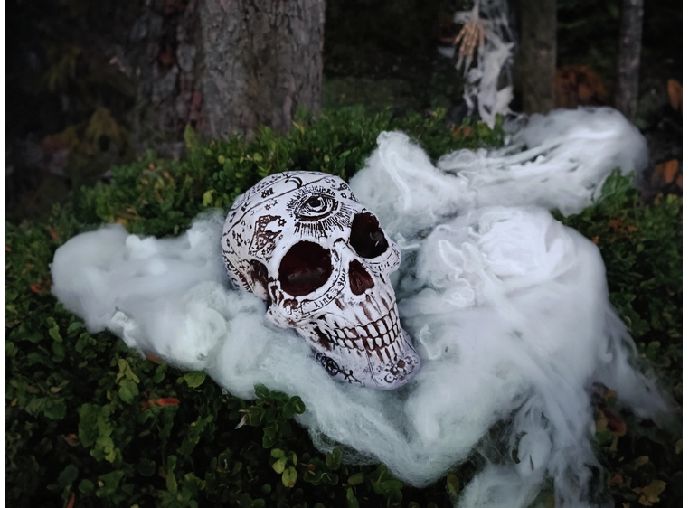 Europalms Skull, mystical 12x10x18cm 