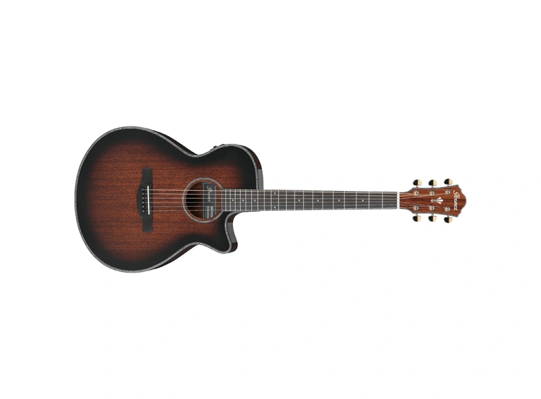 Ibanez AEG74-MHS Westerngitar med mik 
