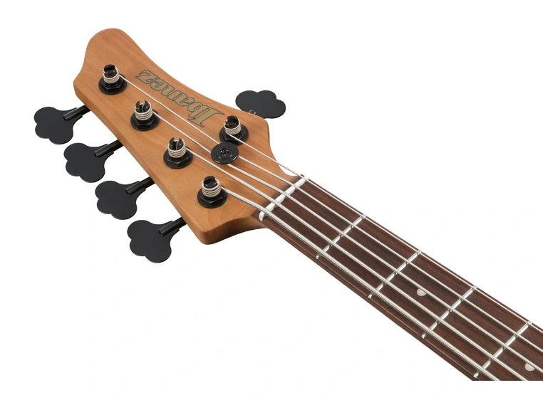 Ibanez MDM1605-DTW MODE Series, 5-str. 