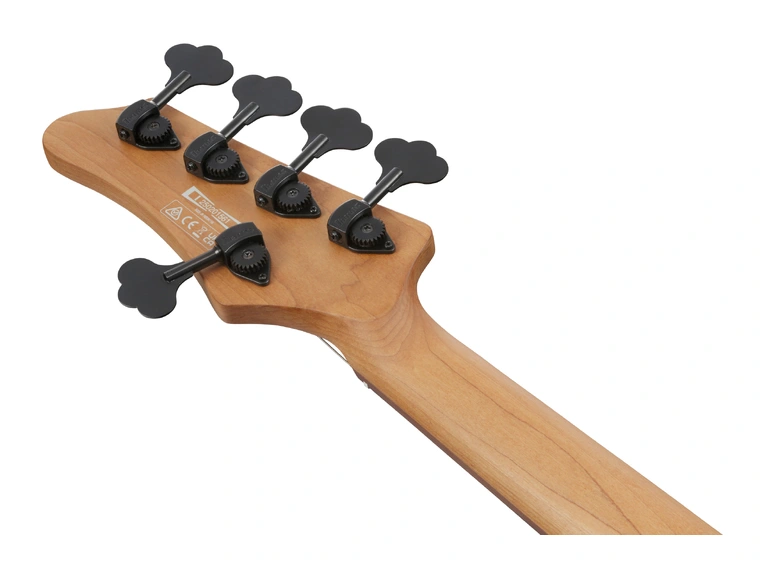 Ibanez MDM1605-DTW MODE Series, 5-str. 