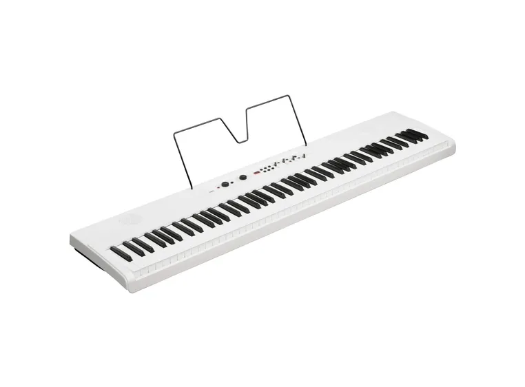 Korg L1 Live Liano LIVE! 