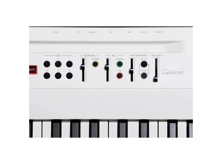 Korg L1 Live Liano LIVE! 