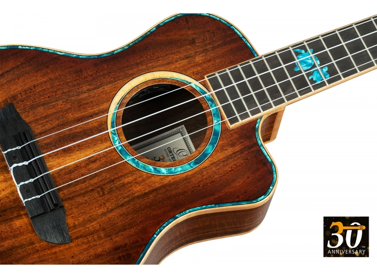 Ortega RUHZ30TH-ST Tenor ukulele m/mik bag, 30th Anniversary, Sea Turtle 