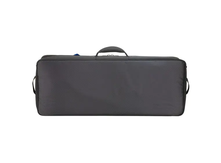 Reunion Blues RBX-34 Pedalboard/Gear Case 34" x 13" 