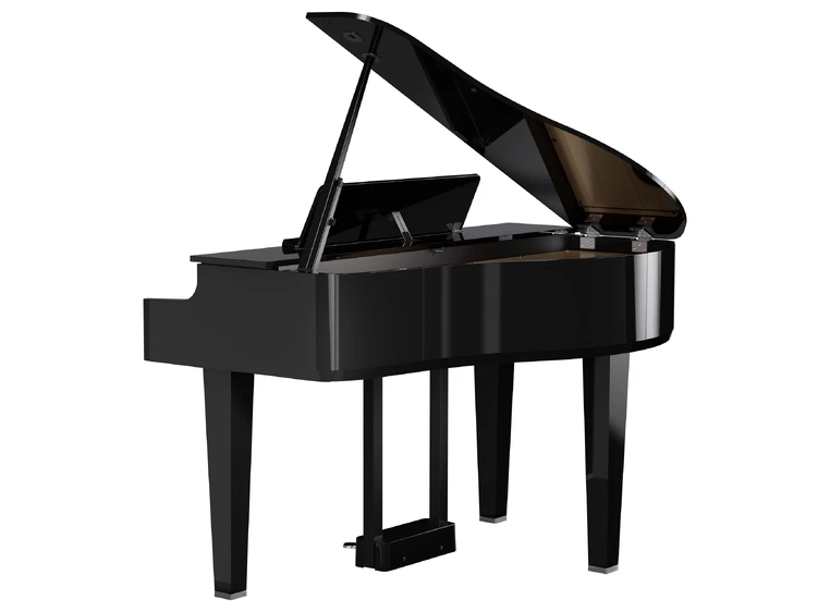 Roland GP-6-PE Mini grand 