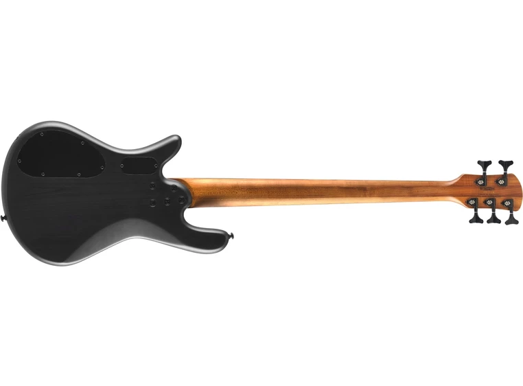 Spector NS Pulse II 5 Black Stain Matte 