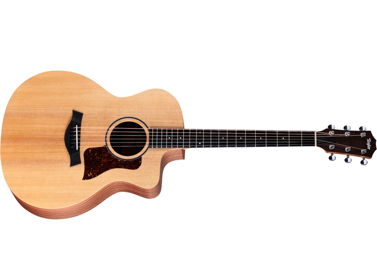 Taylor 14ce 