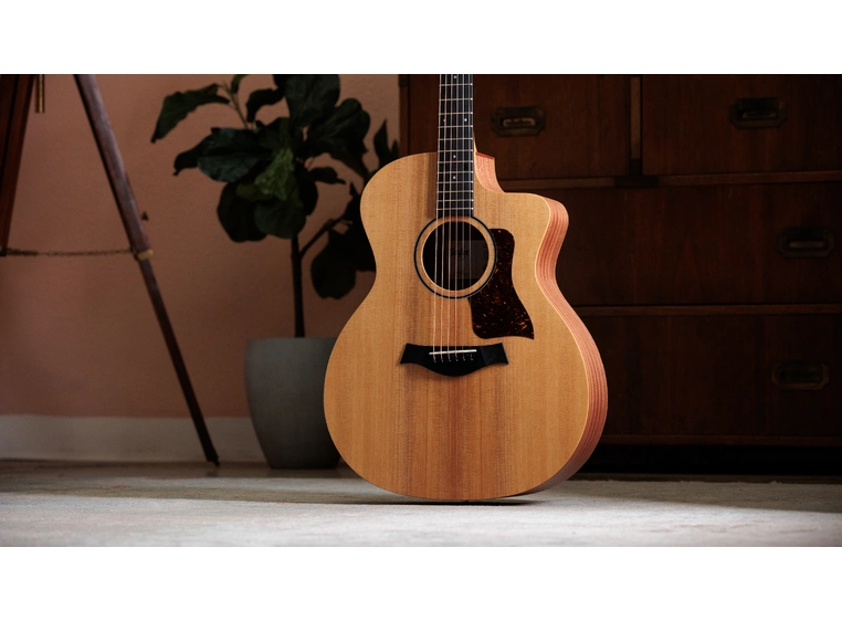 Taylor 14ce 