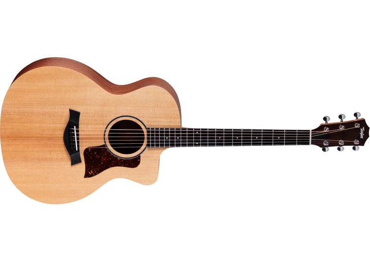 Taylor 14ce 