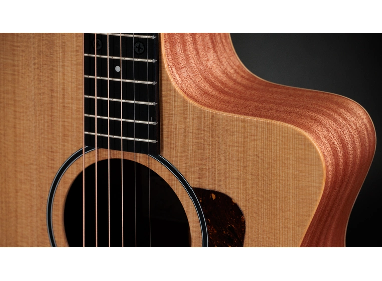 Taylor 14ce 