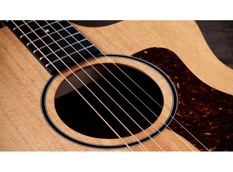 Taylor 14ce 
