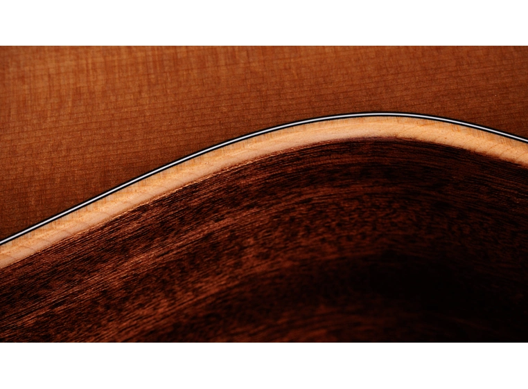 Taylor 314ce Studio Shaded Edgeburst 