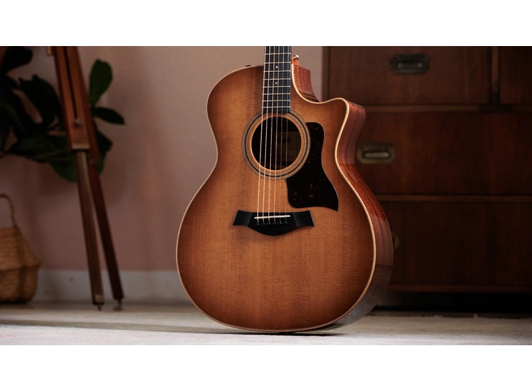 Taylor 314ce Studio Shaded Edgeburst 