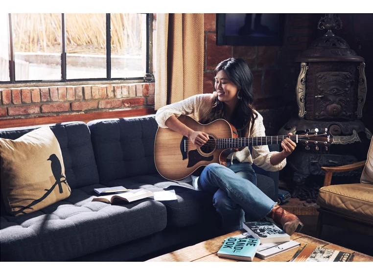 Taylor 314ce Studio Shaded Edgeburst 