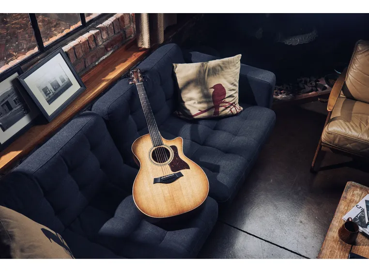 Taylor 314ce Studio Shaded Edgeburst 