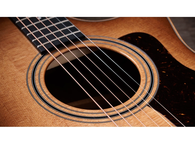 Taylor 314ce Studio Shaded Edgeburst 