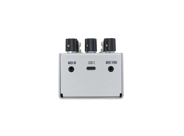 Walrus Audio Mako Series MKII D1 Delay 