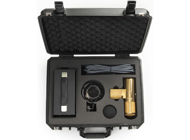 Warm Audio WA-8000 Limited Edition Gold 