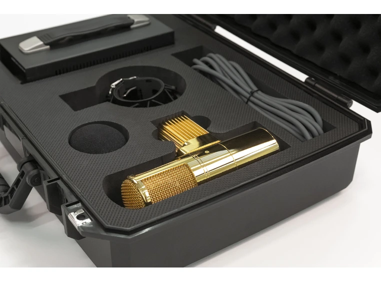 Warm Audio WA-8000 Limited Edition Gold 