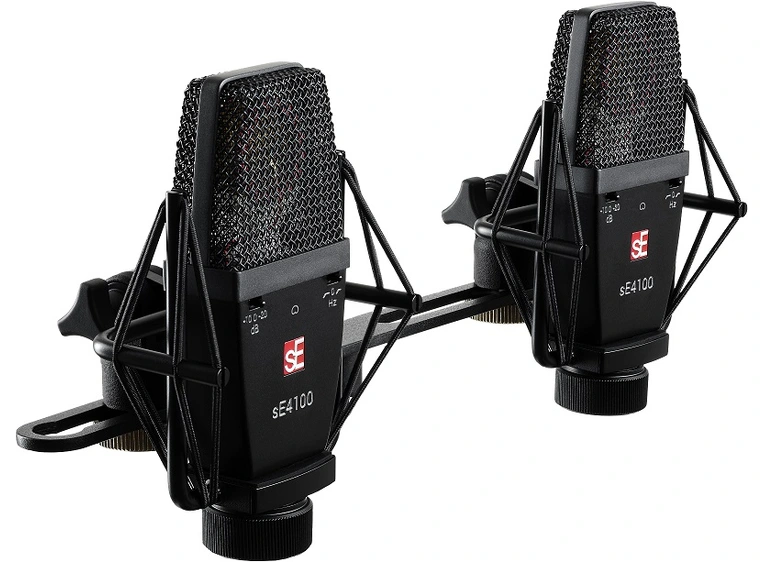 sE Electronics sE4100 Matchet par 