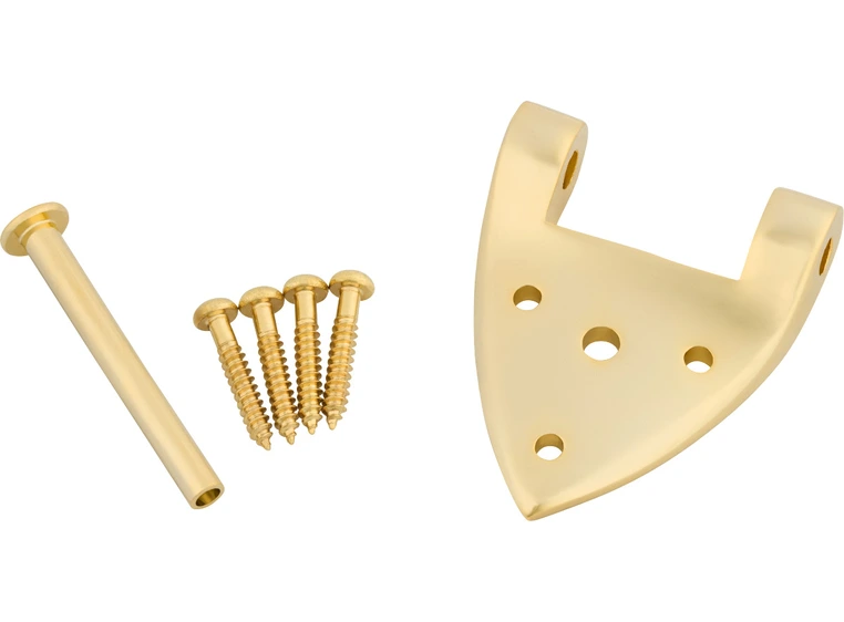 Bigsby B3/6C Gretsch Hinge with Hinge Pin and Screws, Gold 