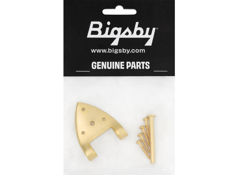 Bigsby B3/6C Gretsch Hinge with Hinge Pin and Screws, Gold