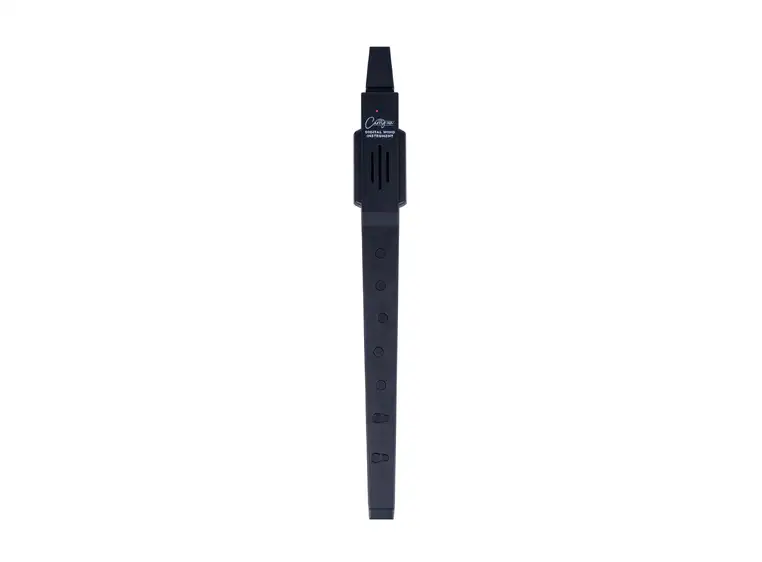 Blackstar Carry On Wind Instrument Black 