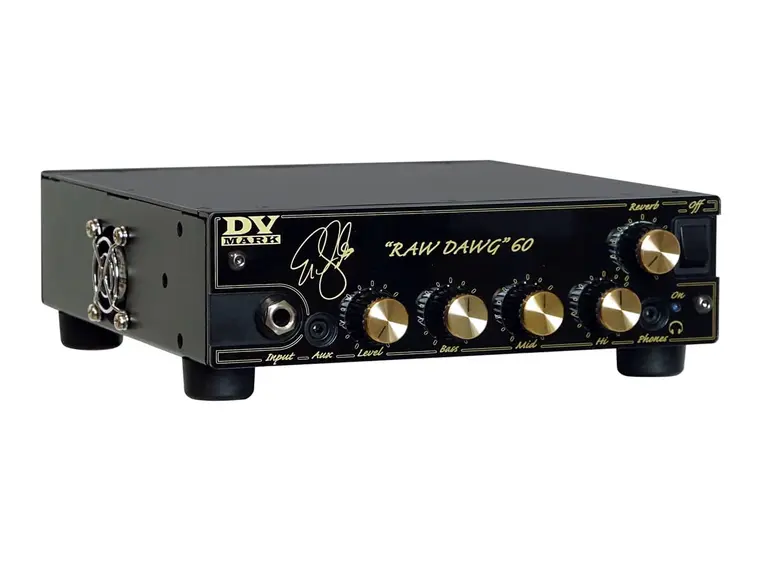 DV Mark DV Raw Dawg 60 60w Guitar Amplifier 