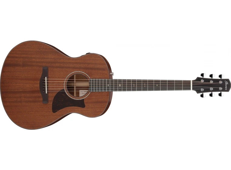 Ibanez AAM740E-LG Western gitar Med mik.& case, Advanced Auditorium 