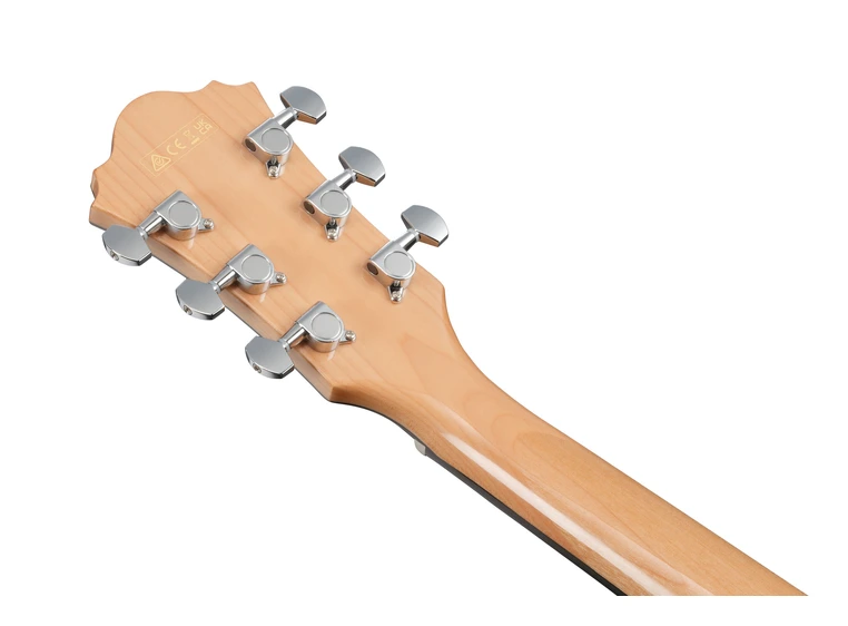 Ibanez AE170-NTR Ak. gitar m/mik AIR port AE 