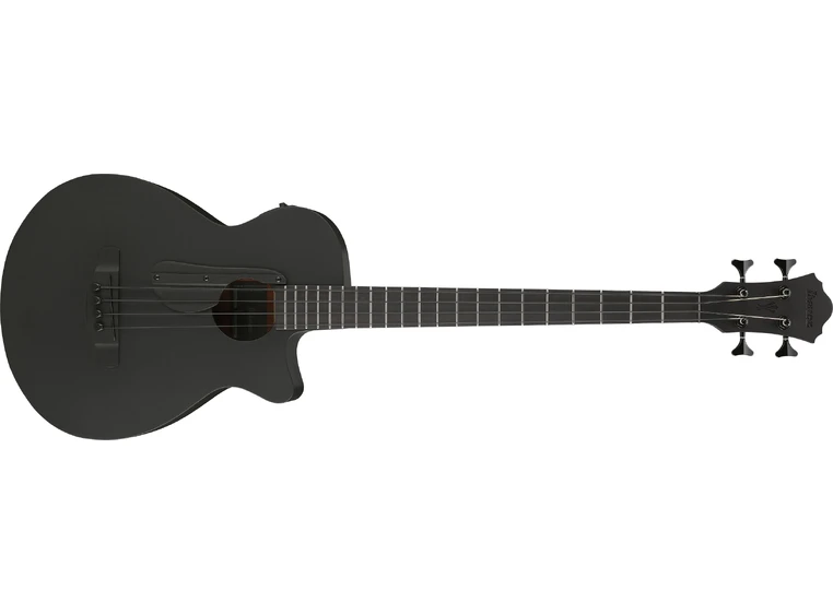 Ibanez AEGB420-BOT 