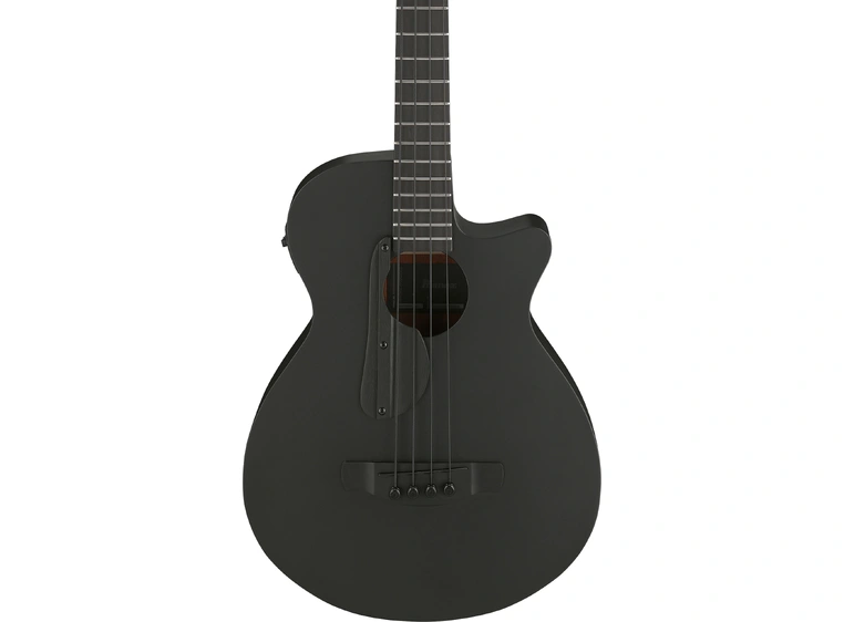 Ibanez AEGB420-BOT 